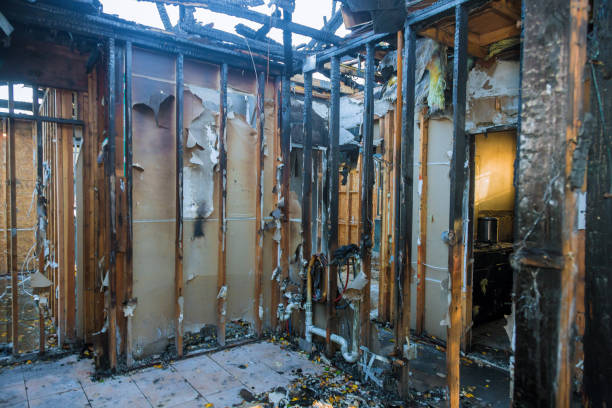 Professional Fire Damage Removal technician working in Homewood, AL